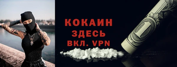 молекула духа Белокуриха